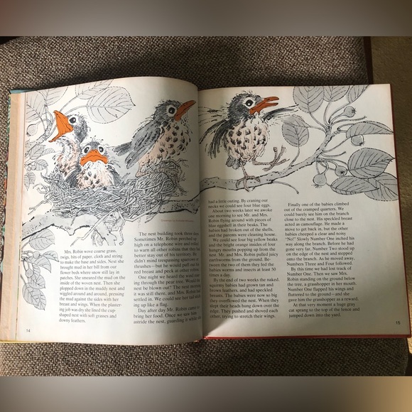 VINTAGE Ranger Rick’s Story Book, copyright 1983 - Picture 10 of 10